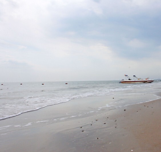 Побережье Бохайского залива Желтого моря
