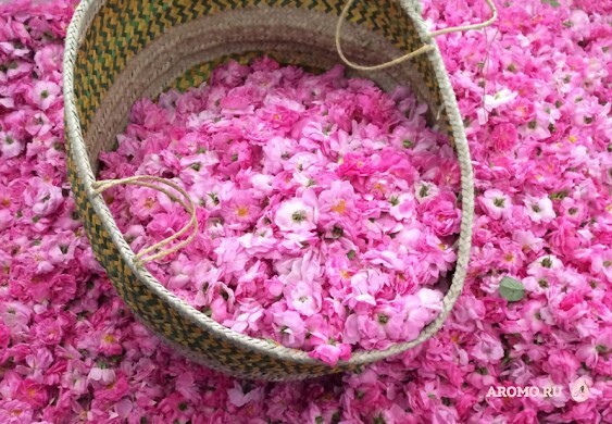 Taif Ormonde Jayne - корзина с лепестками роз