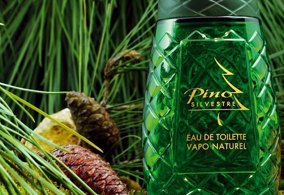 Pino Silvestre в современном дизайне