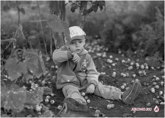 (c) Эдуард Кутыгин 