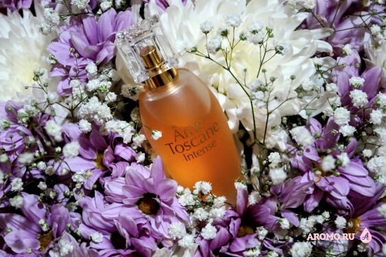 Ame Toscane Intense ID Parfums. Душа Тосканы — блог Oksana на Аромо