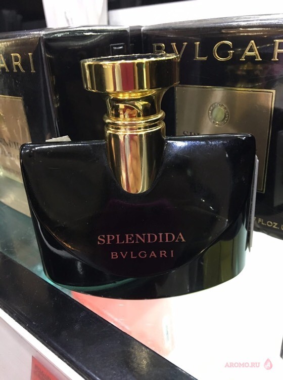 splendida jasmin noir bvlgari