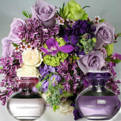 Коллекция Jardin De Capri от Roccobarocco