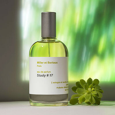 Study #17 от Miller et Bertaux