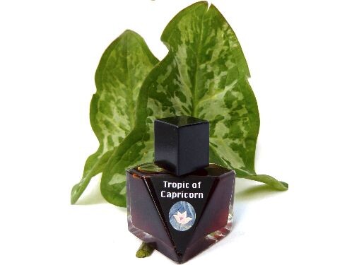 Tropic of Capricorn от Olympic Orchids