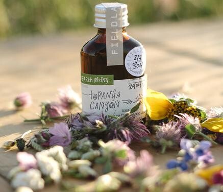 Topanga Canyon Backpacker's Cologne от Juniper Ridge