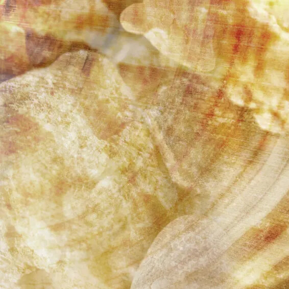 Ноты в ароматах