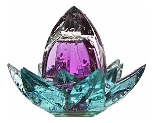 Ramon Molvizar Water Flower