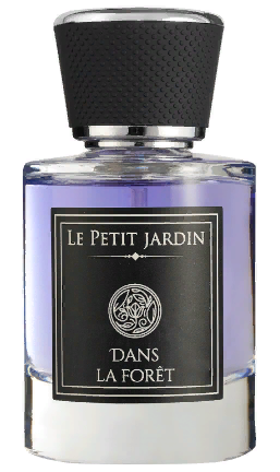 Le Petit Jardin Dans La Foret