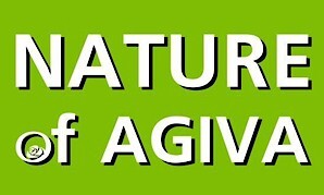 Nature Of Agiva
