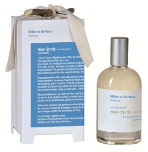 New Study (Postcard) от Miller et Bertaux