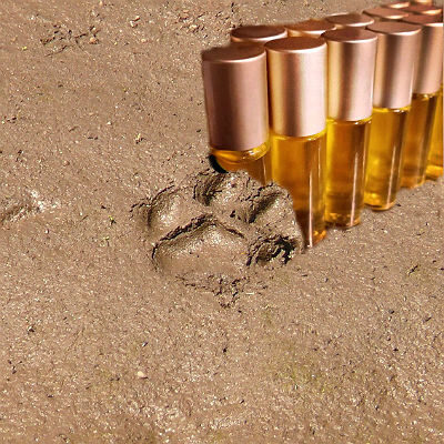 Puma от Libby Patterson Organics