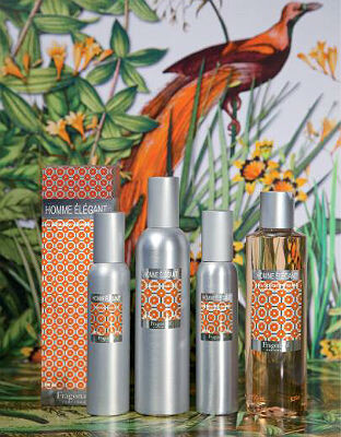 Homme Élégant от Fragonard