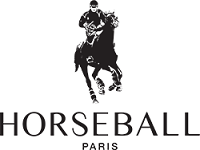 Horseball
