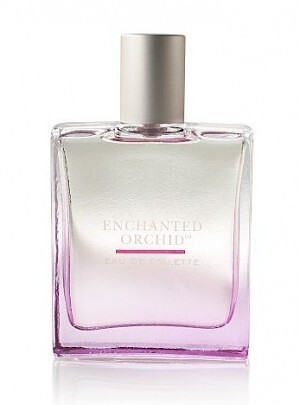 Bath and Body Works Enchanted Orchid