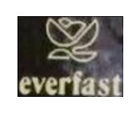 Everfast