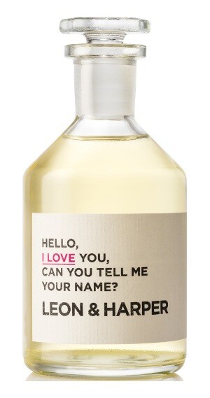 Hello, I Love You, Can You Tell Me Your Name ? от Leon & Harper