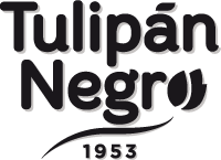 Tulipan Negro