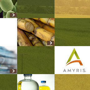 Компании Amyris и Firmenich расширяют свое сотрудничество
