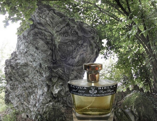 Preja Buja от Acqua di Biella