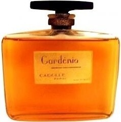 Cadolle Gardénia