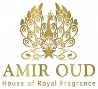 Amir Oud