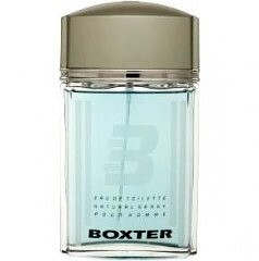 Chaz International Boxter pour Homme