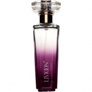 Livioon No 53