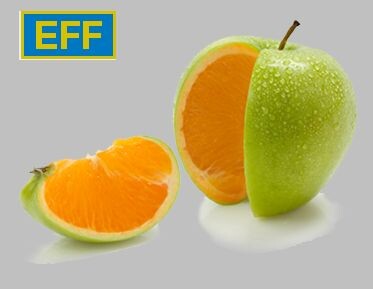 Новости компаний Eurofragance, European Flavours & Fragances PLC и Flo