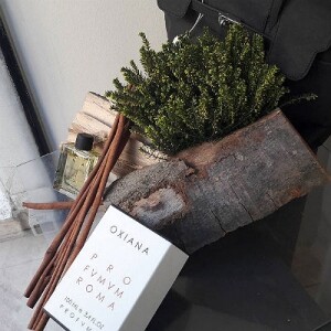 Oxiana 2016 от Profumum Roma