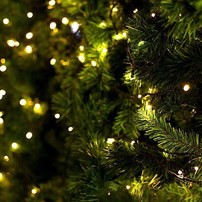 Главное за месяц: декабрь