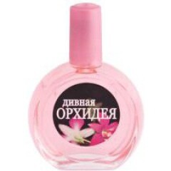 Юдиф Wondrous Orchid