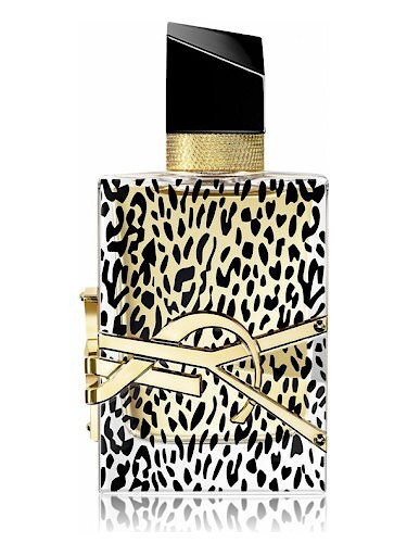 libre yves saint laurent body lotion