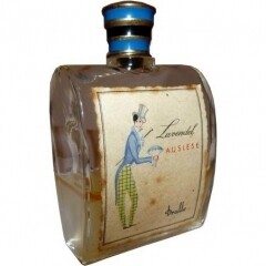 Dralle Lavendel Auslese
