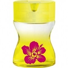 Cofinluxe / Cofci Sun & Love