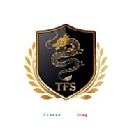 Tcheon Fung Sing