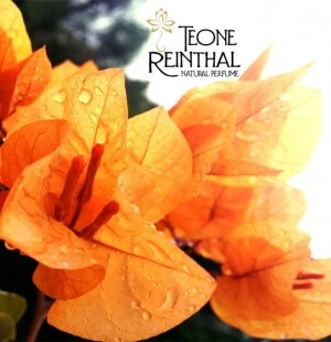 Новые ароматы от Teone Reinthal Natural Perfume