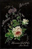 Armant's Perfumes