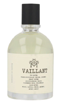 Moudon Vaillant
