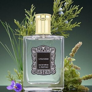 Lysander от Il Profvmo