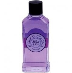 Suarez Sweet Care Lavanda