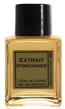 L'Eau de Cassis Orchidee