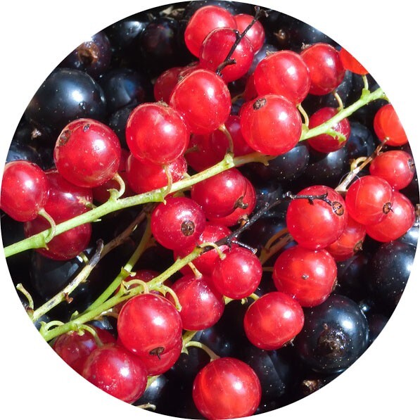 Ноты в ароматах