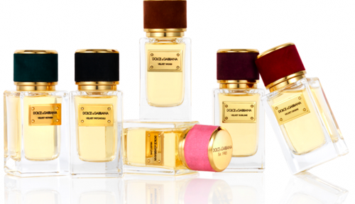 Velvet Collection от Dolce & Gabbana