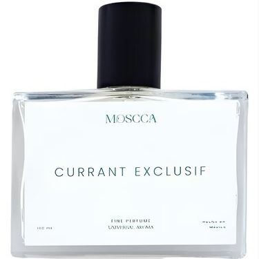 Moscca Currant Exclusif