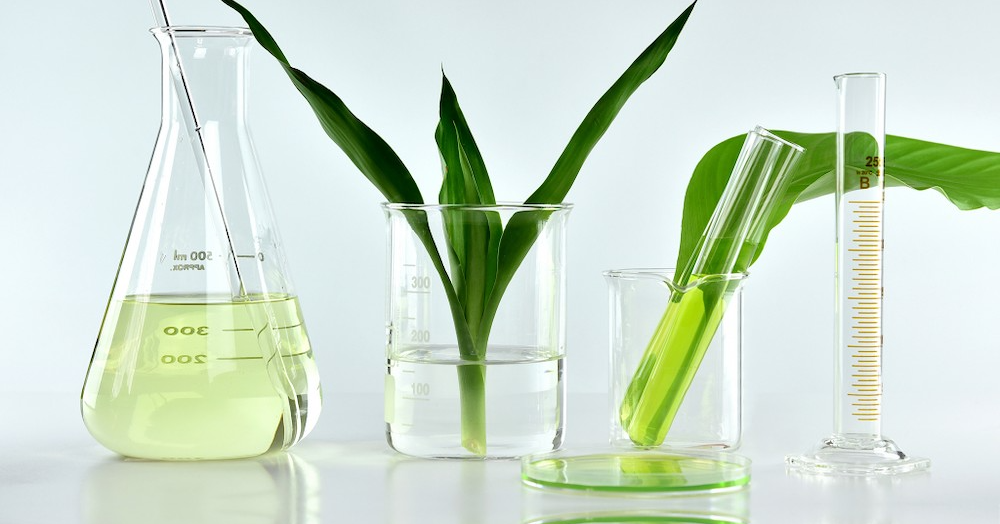 Givaudan представили платформу Naturality. Её цель — сохранение окружающей среды