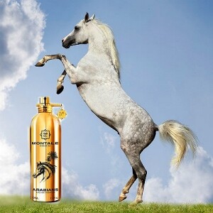 Arabians от Montale