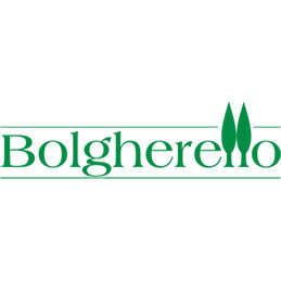 Bolgherello