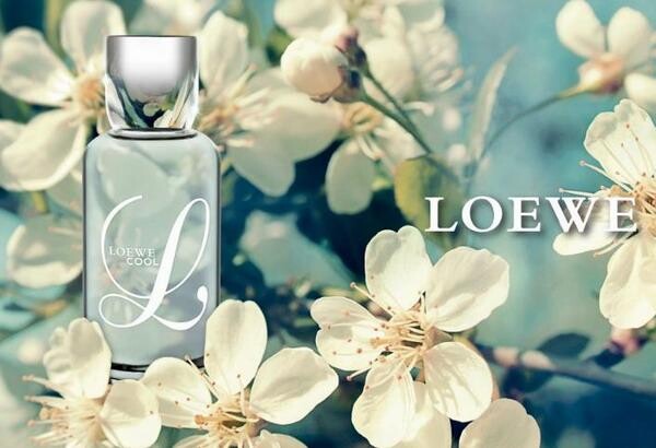 L Loewe Cool от Loewe