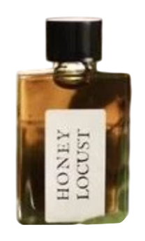 For Strange Women Honey Locust